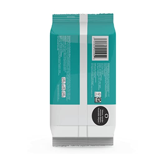Flushable Adult Toilet Wipes, Fragrance Free, 126 Count D1449