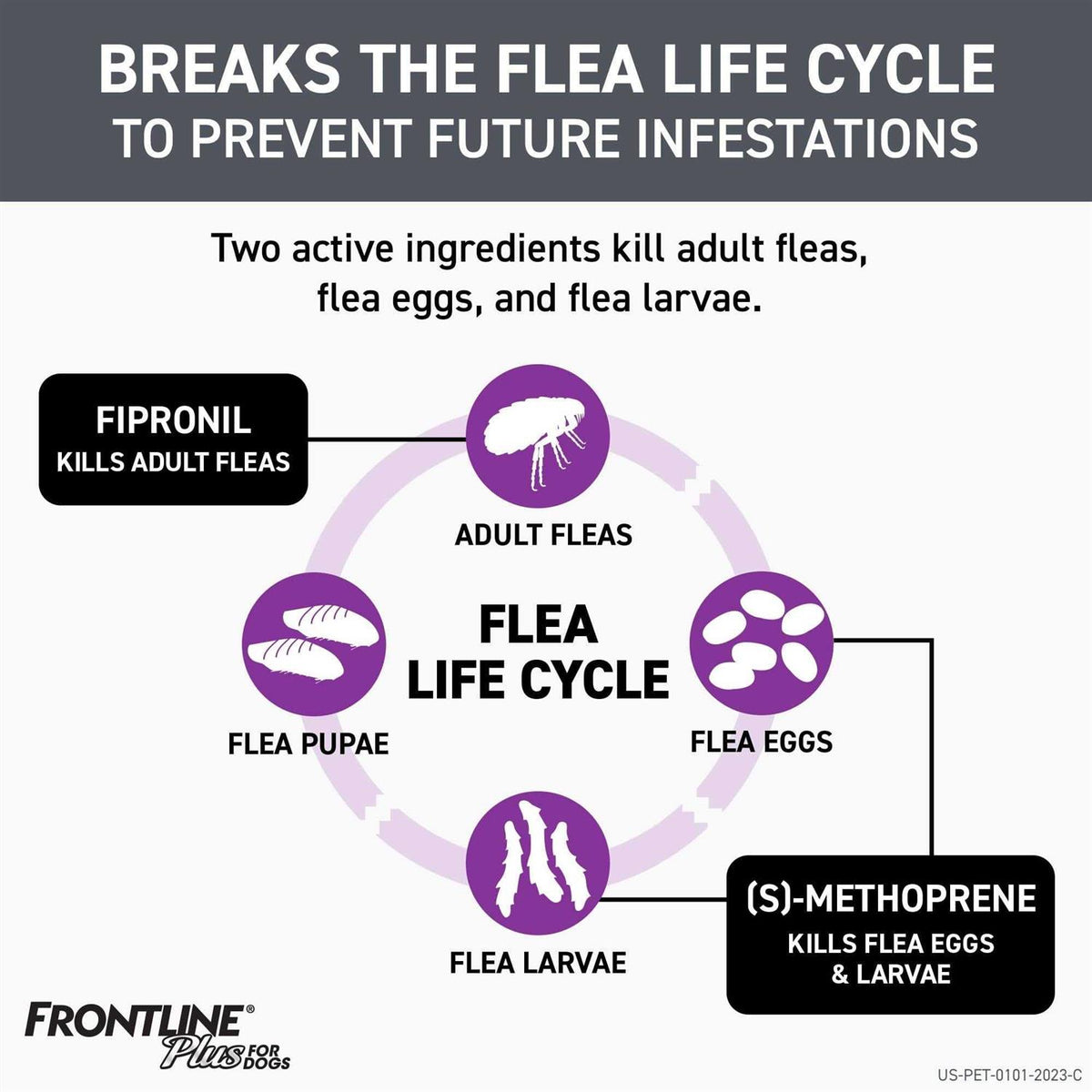 Flea and Tick for Dogs Q147