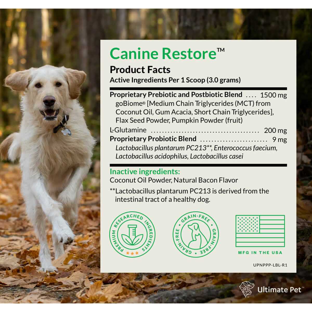 Probiotic Digestive Support Powder for Dogs 3.17 oz O81444