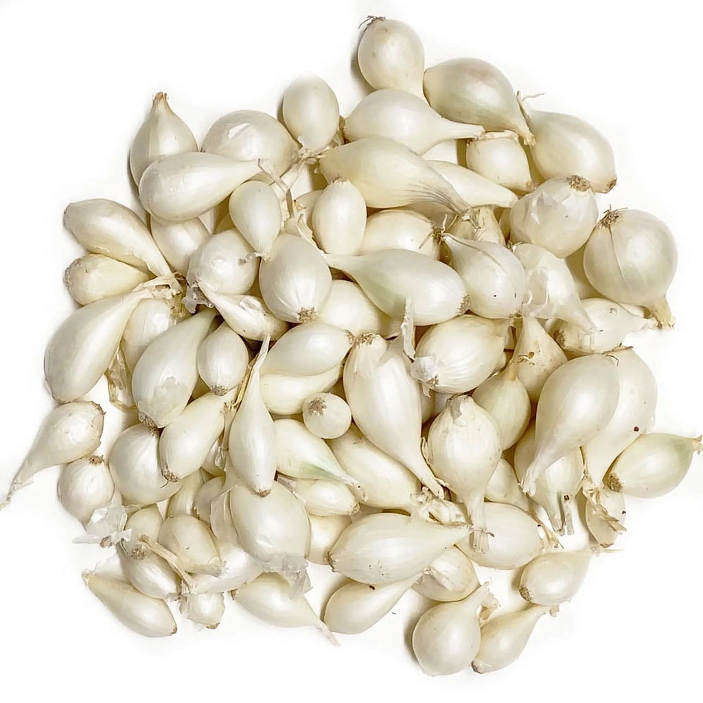 100 bulbs White Onion Sets for planting V623