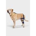 Adjustable Hinged Dog Knee Brace V3262