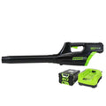 80V Cordless Blower with Battery and Charger N60316