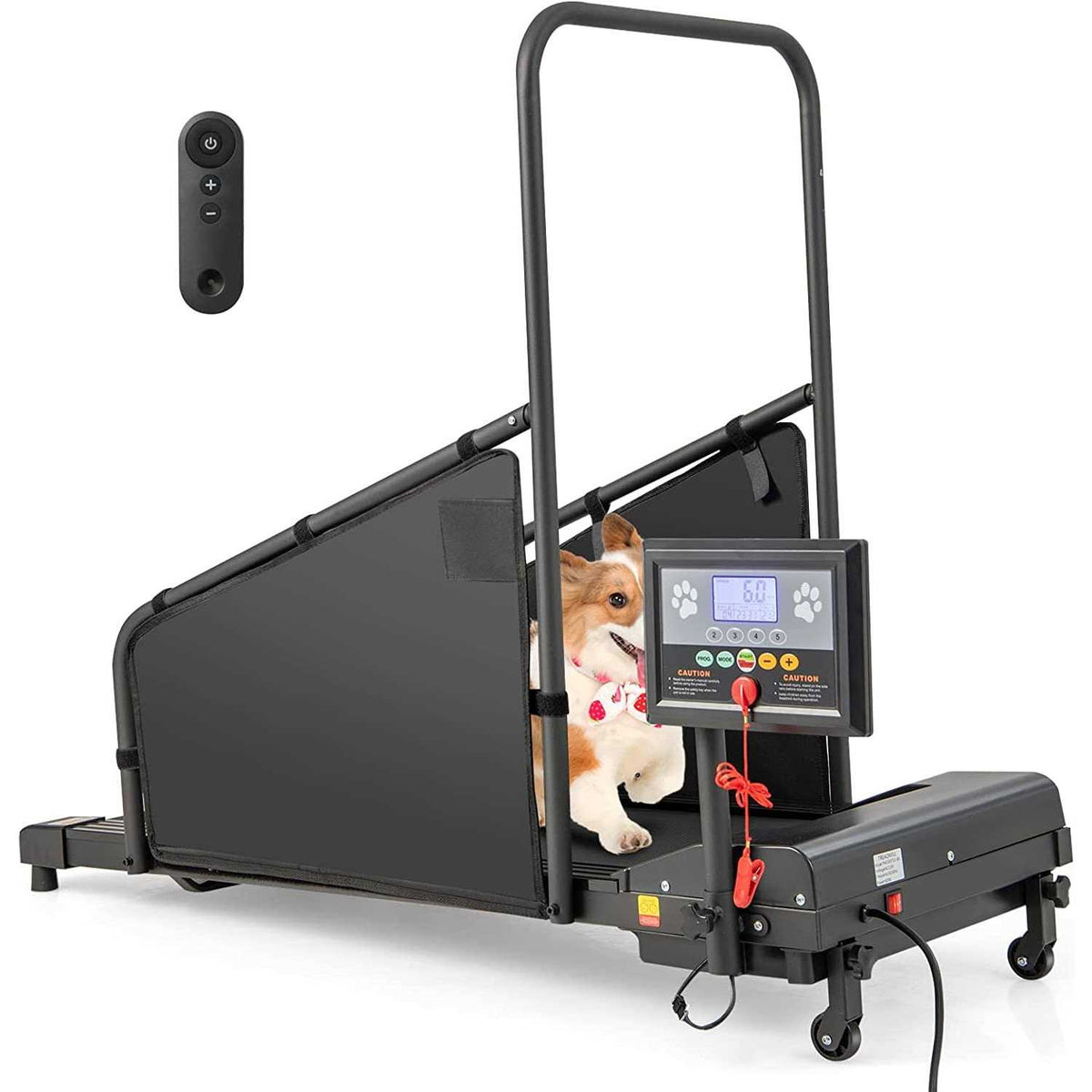 Indoor Pet Exercise Equipment with Remote Control D6517