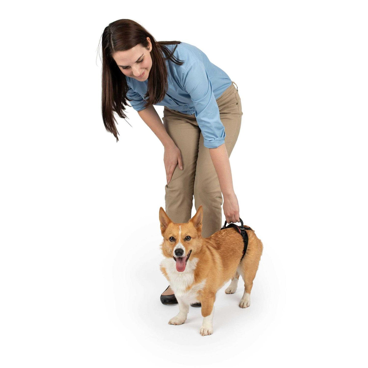 Dog Rear Harness H2311
