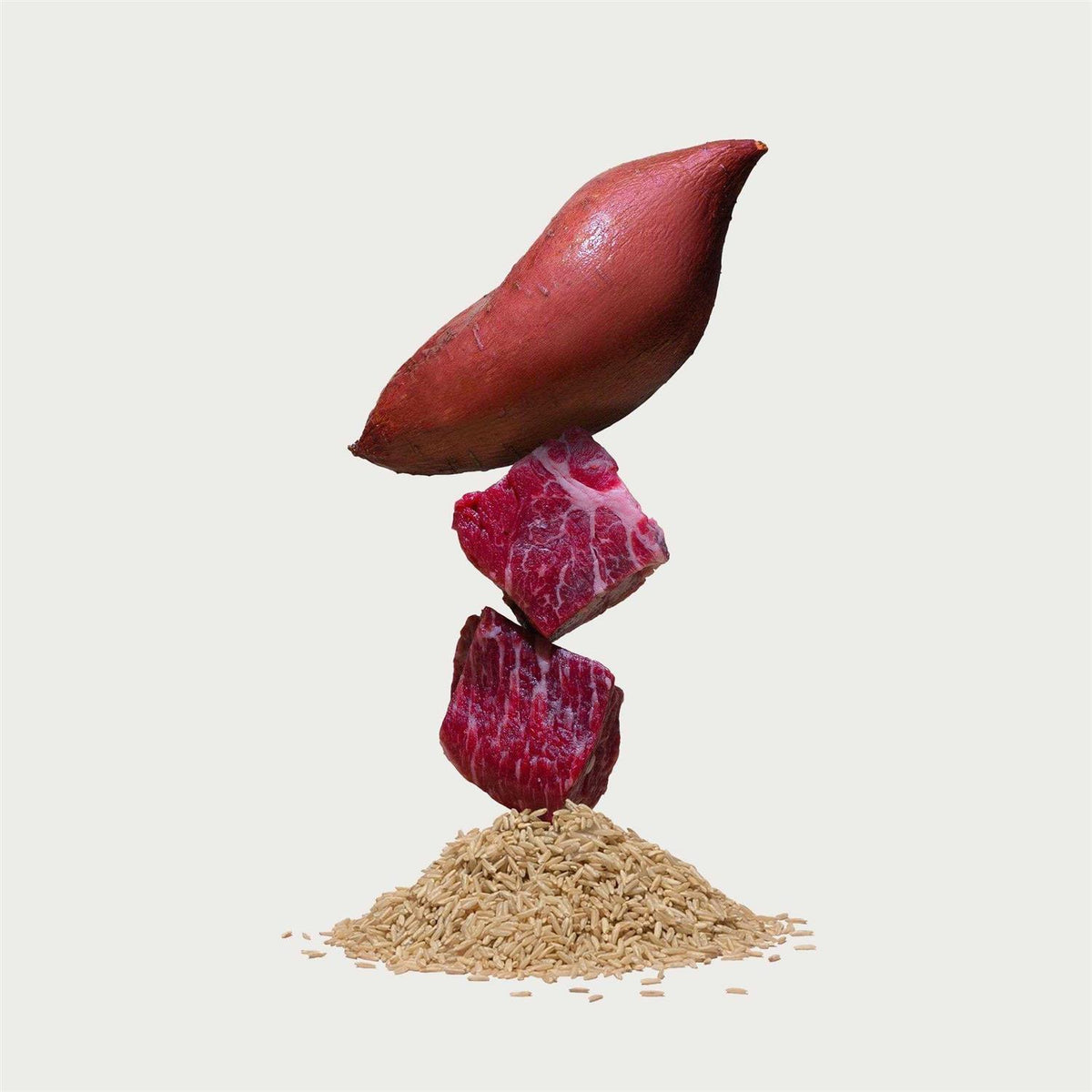 Brown Rice & Sweet Potato Dry Dog Food H89926