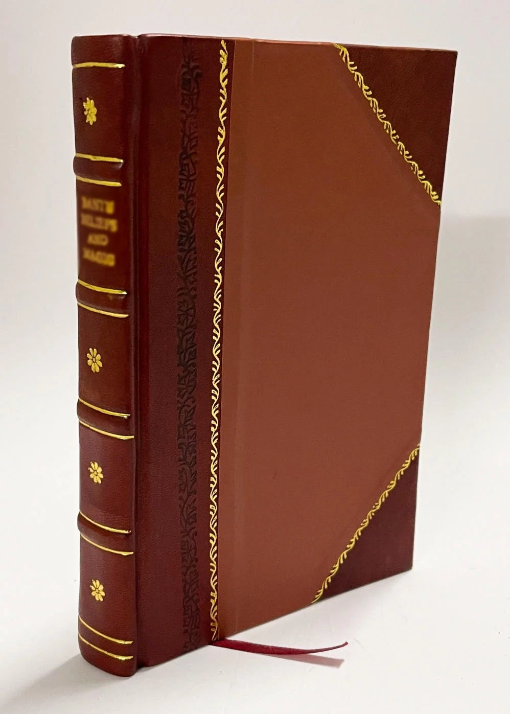 Leather Bound T50256